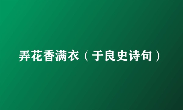 弄花香满衣（于良史诗句）