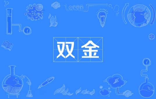 双金（汉语词语）