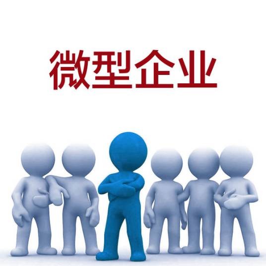 小型企业（国民经济的重要组成部分）