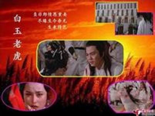 赵无忌（古龙小说《白玉老虎》中的男主角）