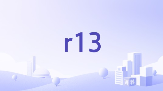 r13