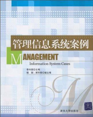 管理信息系统案例