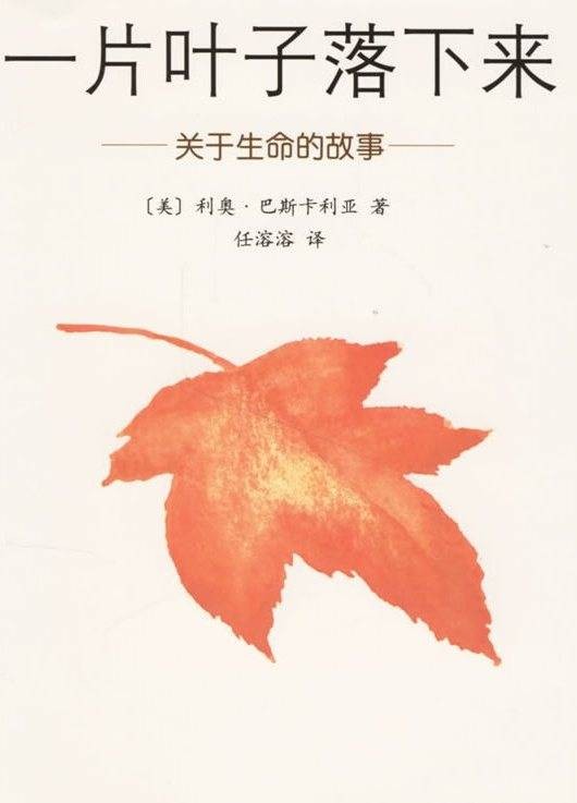 一片叶子落下来（2009年南海出版公司出版的图书）
