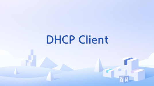 DHCP Client
