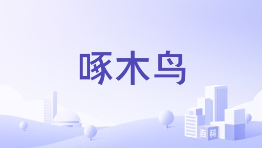 啄木鸟（七好（集团）有限公司旗下品牌）