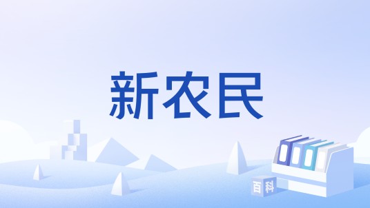 新农民（汉语词语）