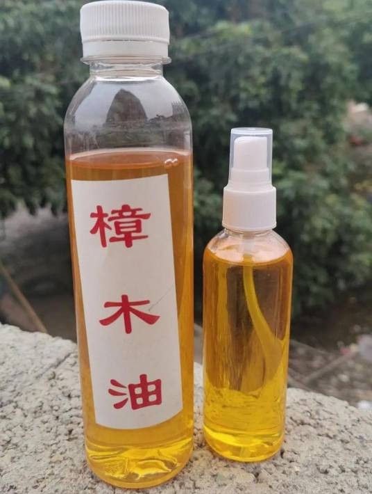 樟木油