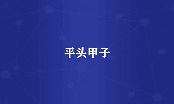 平头甲子