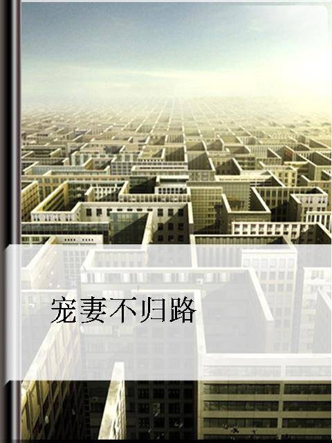 宠妻不归路