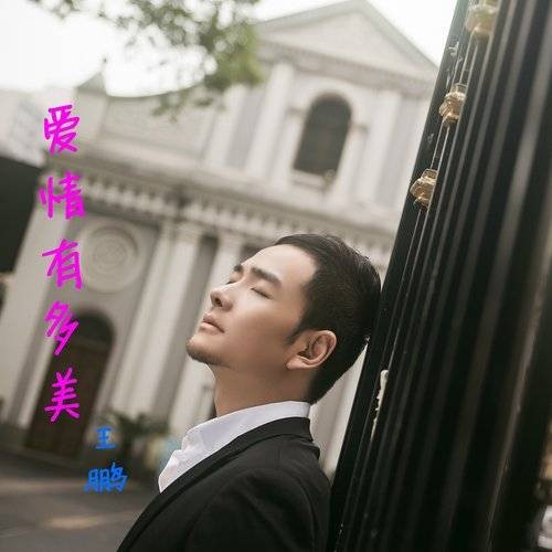 爱情有多美（王鹏演唱的歌曲）