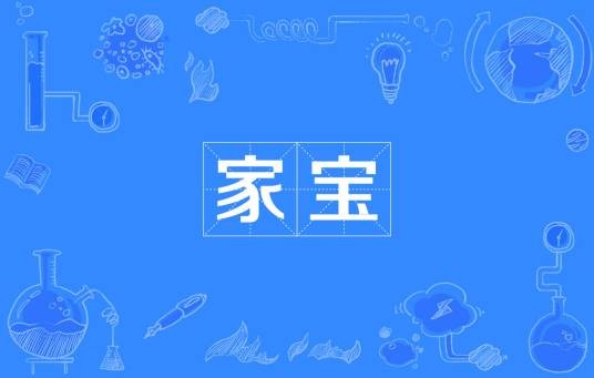 家宝（汉语词语）