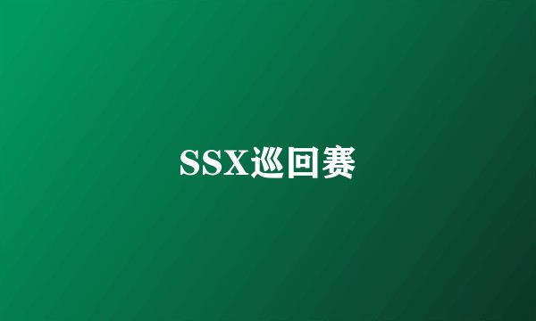 SSX巡回赛