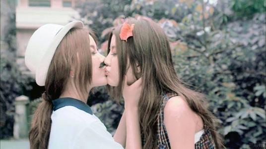 姐妹花（形容关系密切的女性群体）