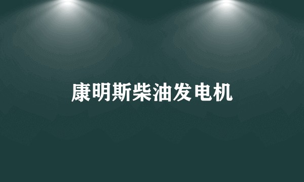 康明斯柴油发电机