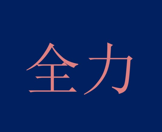 全力（汉语词语）