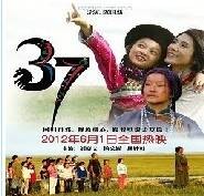 37（2012年陈国新执导电影）