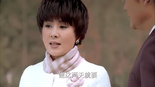 甄珠（电视剧《家和万事兴》中的女配角）