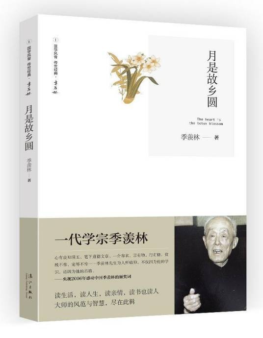 月是故乡圆（2014年漓江出版社出版的图书）