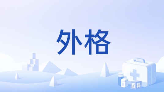 外格