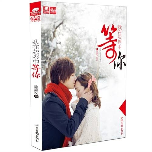 我在灰烬中等你（2011年山东画报出版社出版的图书）