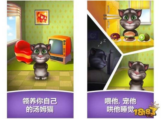 我的会说话的汤姆