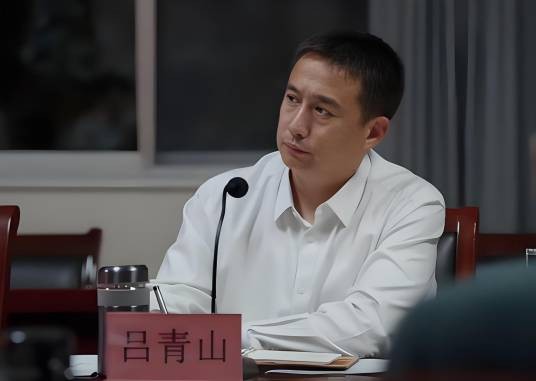吕青山（电视剧《县委大院》中的男配角，由黄磊饰演）