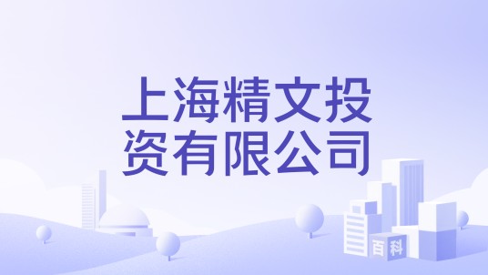 上海精文投资有限公司