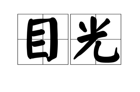 目光（眼睛的神采；识见。）