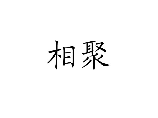 相聚（汉语词语）