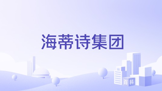 海蒂诗集团