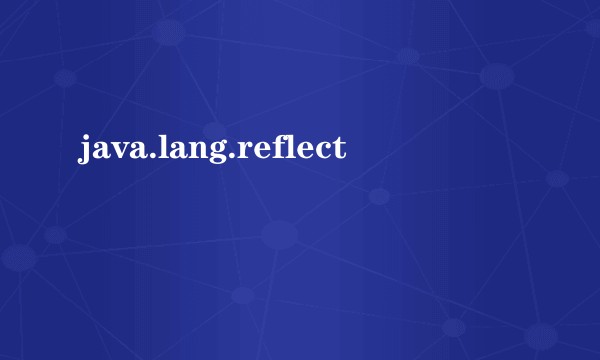 java.lang.reflect