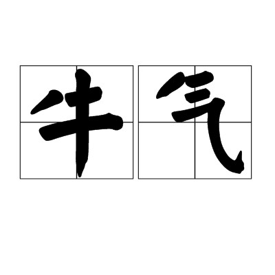 牛气（汉语词语）