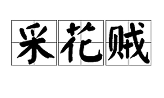 采花贼（反派人物形象）