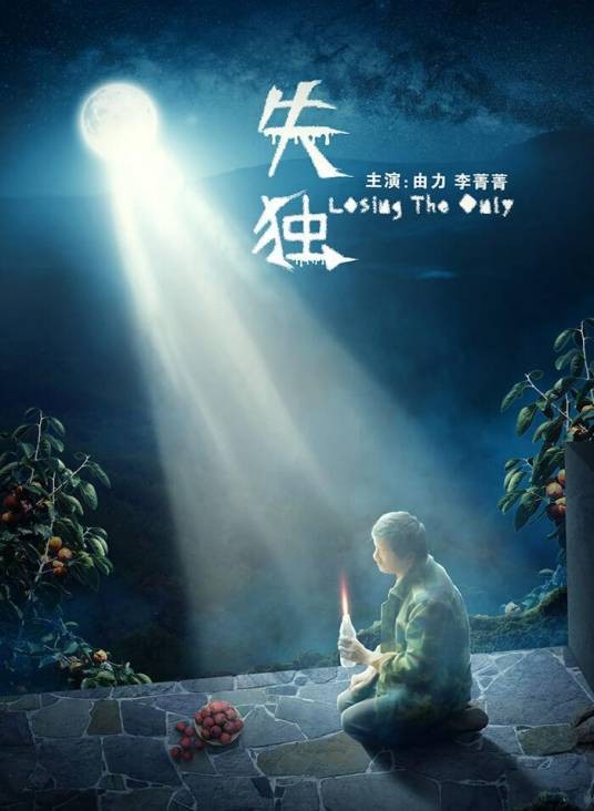 失独（2020年钟海执导的电影）