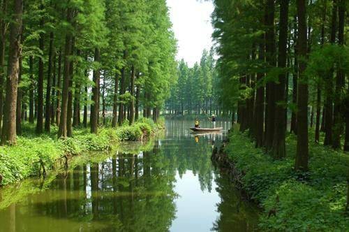 河道（河水流经的路线）