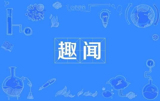 趣闻