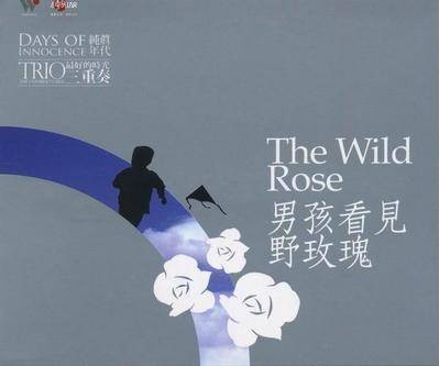 男孩看见野玫瑰（2008年洪卓立演唱的歌曲）