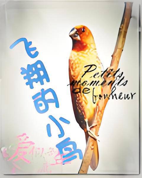 飞翔的小鸟