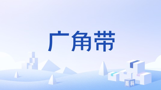 广角带
