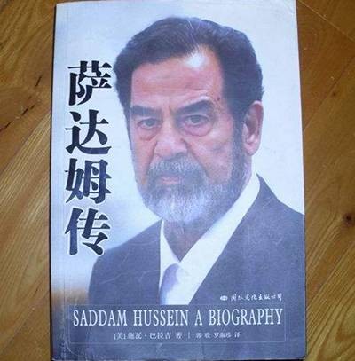 萨达姆传