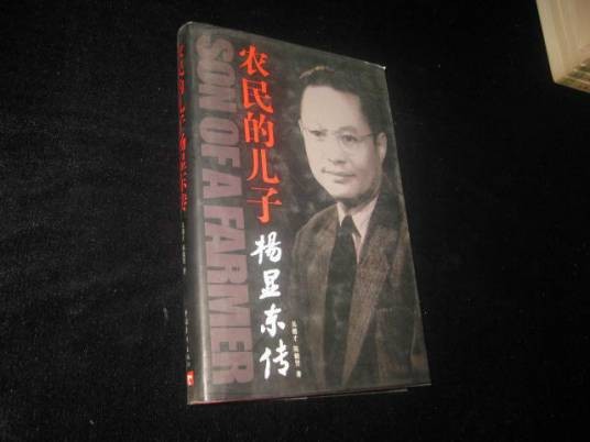 农民的儿子（2010年中国青年出版社出版的图书）