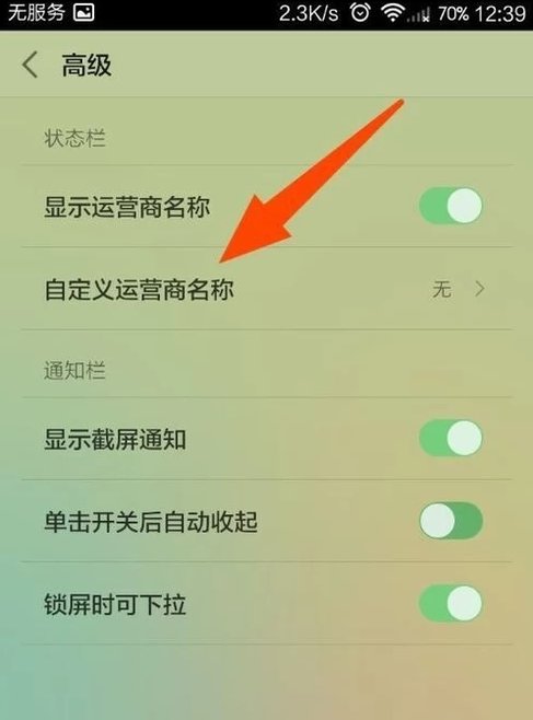怎样修改手机运营商名称？