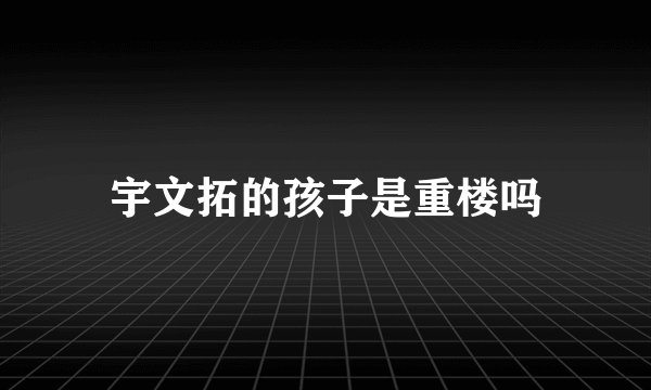 宇文拓的孩子是重楼吗