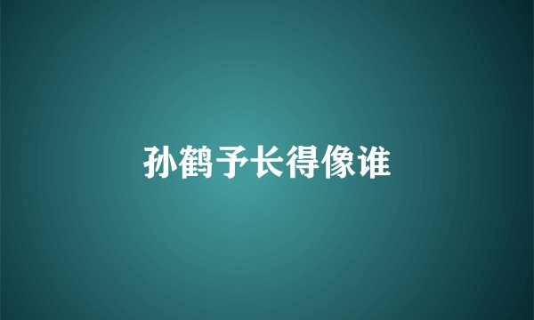 孙鹤予长得像谁