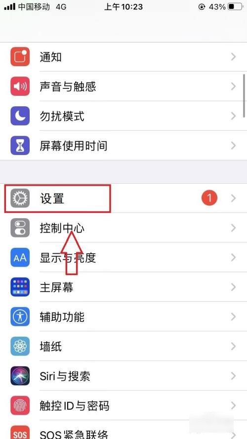 红猫大本营在哪里观看