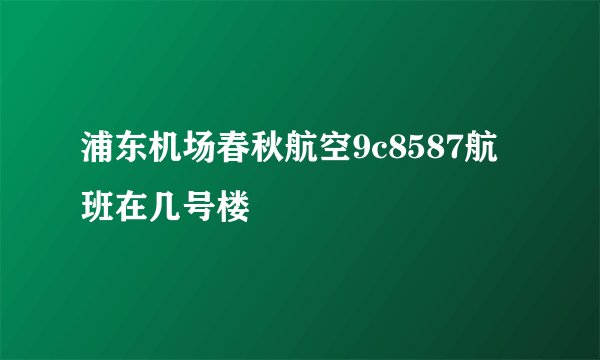 浦东机场春秋航空9c8587航班在几号楼