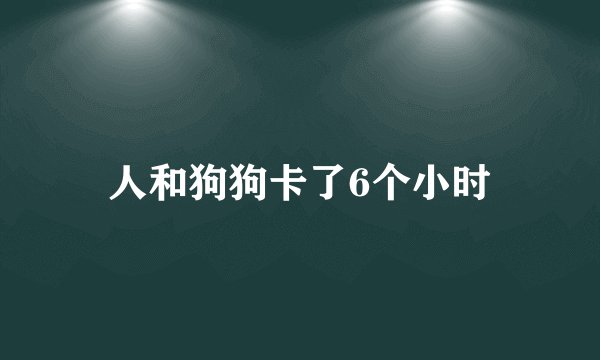 人和狗狗卡了6个小时