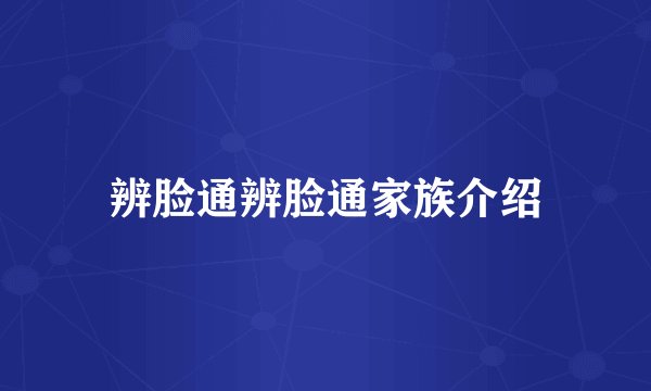辨脸通辨脸通家族介绍