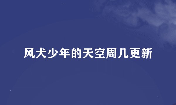 风犬少年的天空周几更新