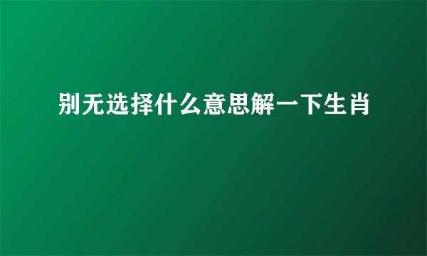 别无选择什么意思解一下生肖